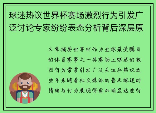 球迷热议世界杯赛场激烈行为引发广泛讨论专家纷纷表态分析背后深层原因